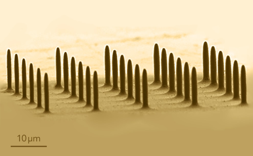 Highly precise metal micropins produced by AFM based 3D microprinting